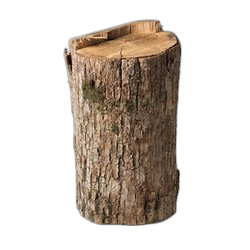 Hinoki Wood